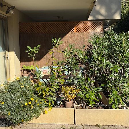 Studio Tout Confort Au Calme Avec Jardin Proche Cannes Le Cannet Eksteriør bilde