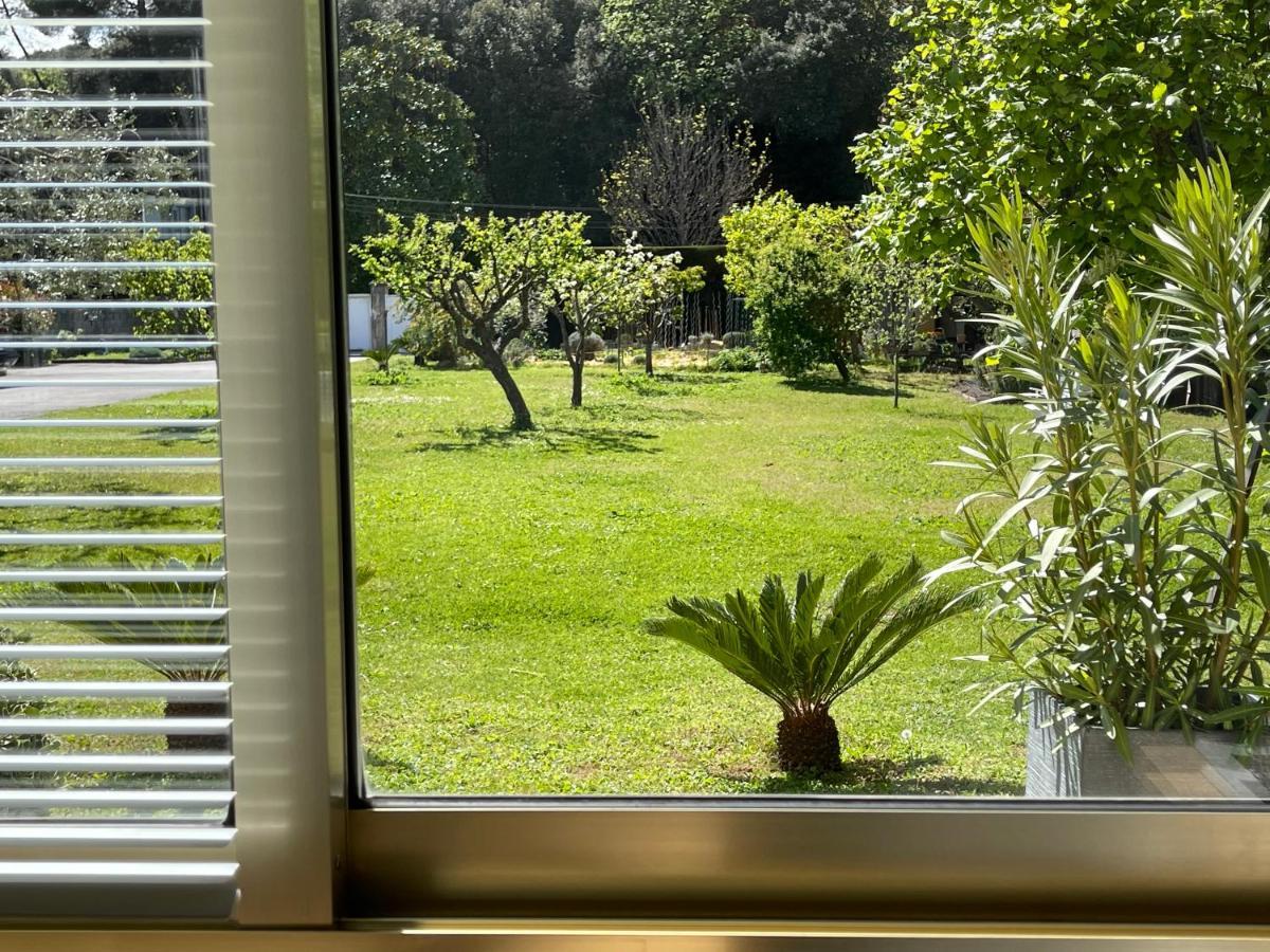 Studio Tout Confort Au Calme Avec Jardin Proche Cannes Le Cannet Eksteriør bilde